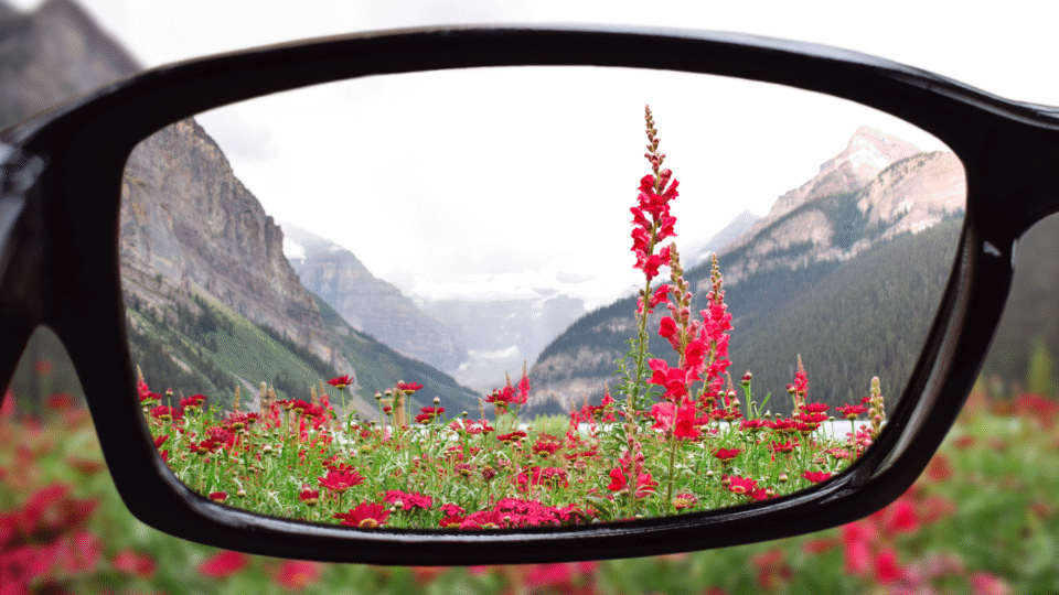 From Complexity to Clarity: Getting the Most from Salesforce